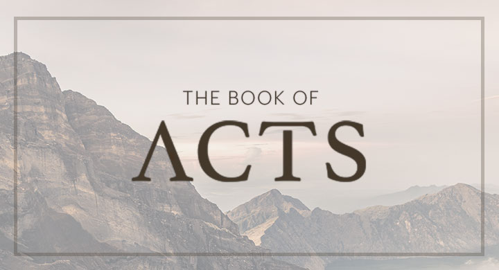 The Book of Acts image